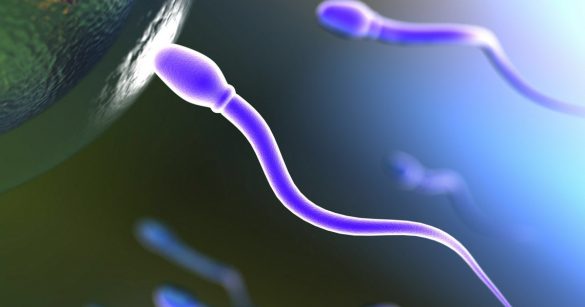 Γυναικεία γονιμότητα: Πώς να τη διατηρήσεις και να τη προφυλάξεις